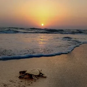 img_20190330_101915_178